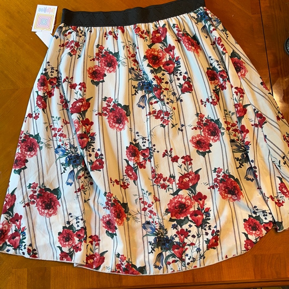 NWT Lularoe skirt